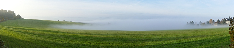 Malter: Nebelmorgen (Deutschland)